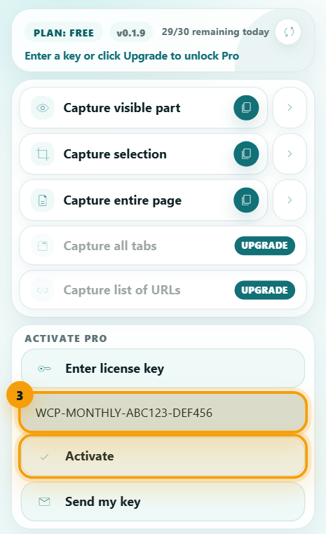 Extension popup with the example license key field and Activate button highlighted