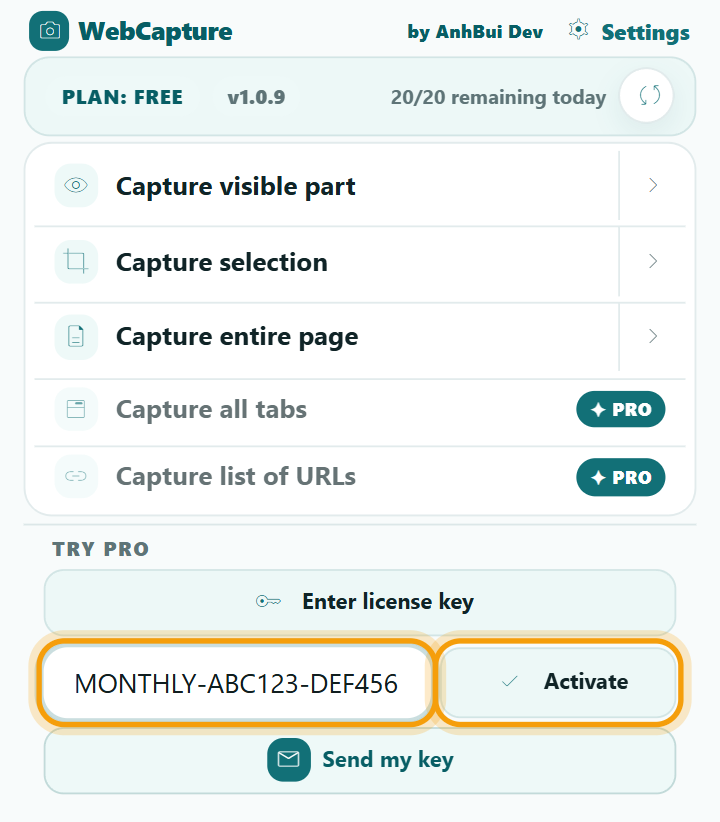 Extension popup with the license key field and the Activate button highlighted