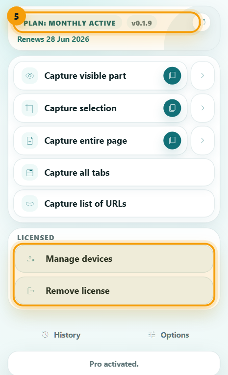 Extension popup with monthly active status and licensed controls highlighted