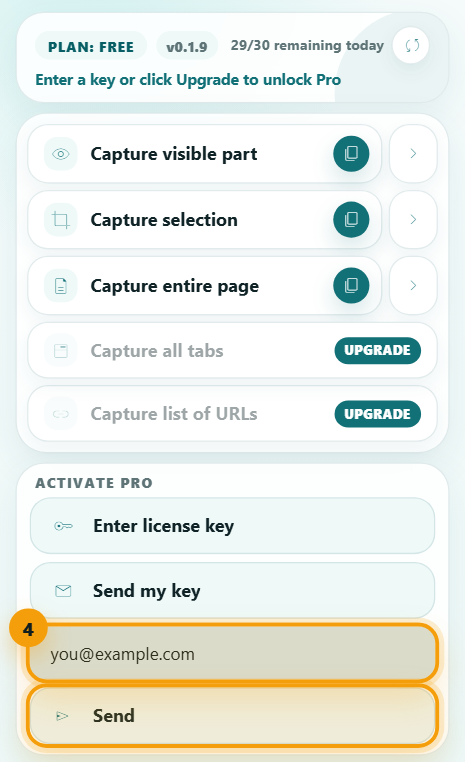 Extension popup with the resend email field and Send button highlighted