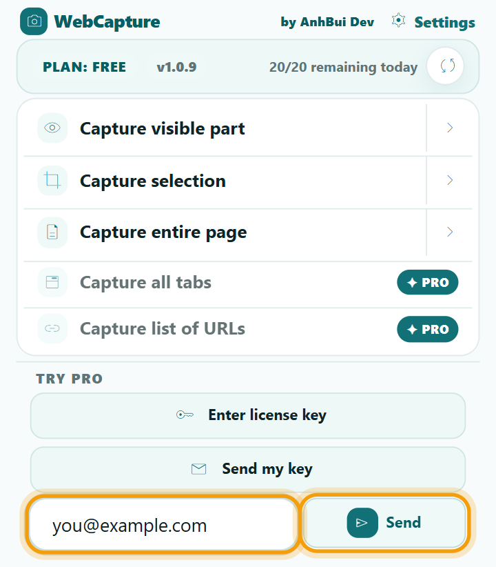 Extension popup with the checkout email field and the Send button highlighted